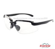  kính bảo hộ Everest EV-901